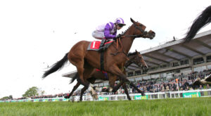 EN4D3119 Secret Satire