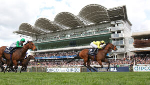 EN4D3578 Rosallion   Haatem