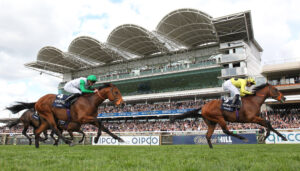 EN4D3579 Rosallion   Haatem