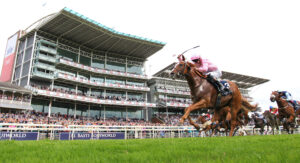 EN4D6789 Live In The Dream