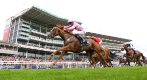 EN4D6790 Live In The Dream