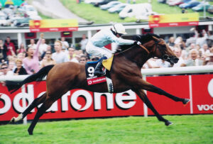 R002 010 North Light