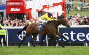 SC8C4648 Sea The Stars