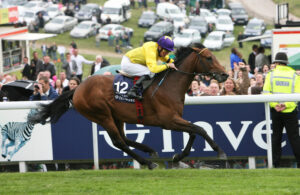 SC8C4651 Sea The Stars