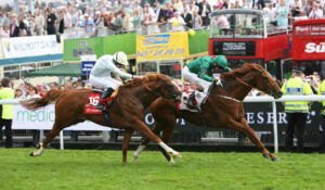 SC8C9376 New Approach