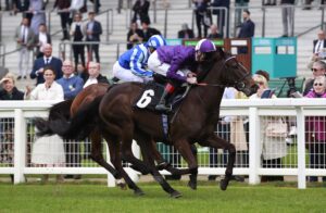 X5B6128 Enchanting Empress