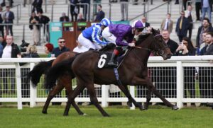 X5B6129 Enchanting Empress