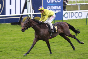 X5B7132 Sea Just In Time