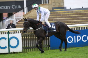 X5B7146 Sayedaty Sadaty