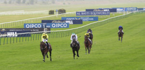 X5B7172 Caviar Heights