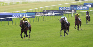 X5B7175 Caviar Heights