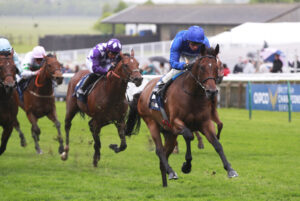 X5B7254 Noble Dynasty