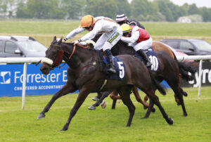 X5B7655 Emeralds Pride