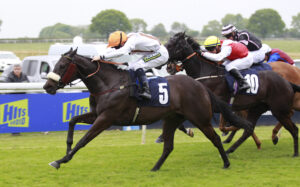 X5B7659 Emeralds Pride