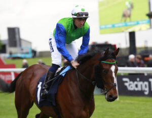 X5B7883 Spartan Warrior