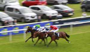 X5B7946 Spartan Warrior