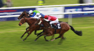 X5B7956 Spartan Warrior