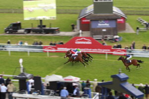 X5B7972 Spartan Warrior