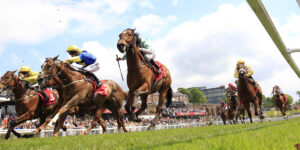 16B7634 Witch Hunter