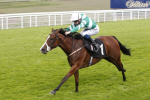 20J0418 Adaay In Devon