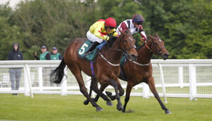 20J0631 Golden Strike