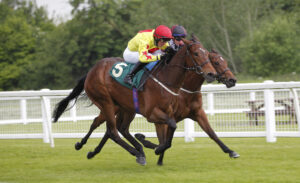 20J0635 Golden Strike