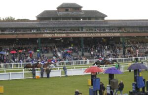 20J0668 Ripon Stands