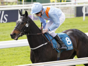 20J0834 Ziggy’s Condor