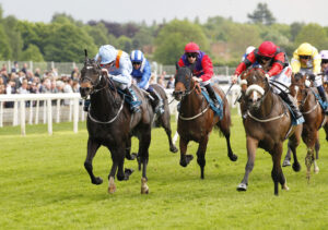 20J0843 Diligent Resdev