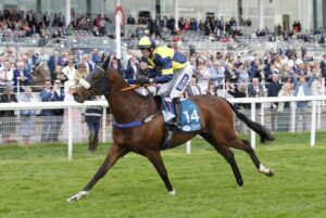 20J0992 Piecederesistance