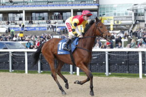 20J1247 Duke Of Oxford