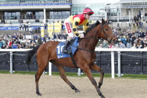 20J1248 Duke Of Oxford