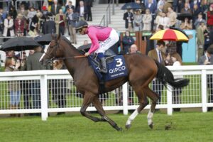 20J1299 Facteur Cheval