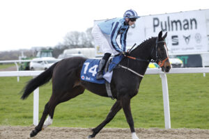 20J1510 Onesmoothoperator