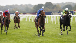 20J2029 Edge Of Blue