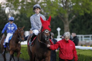 20J3178 Imperial Guard