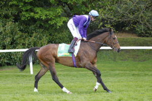 20J5656 Artistic Star