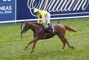 20J7657 Relentless Voyager