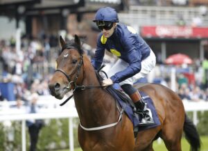 20J8311 Garfield Shadow