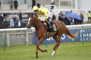 20J8494 Relentless Voyager