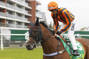 20J9315 Dancing Magic