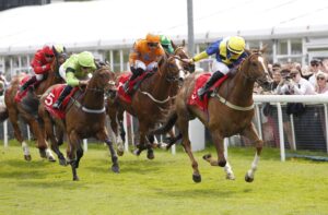 20J9392 Percy’s Lad