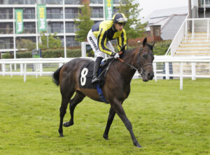 20J9618 James’s Delight