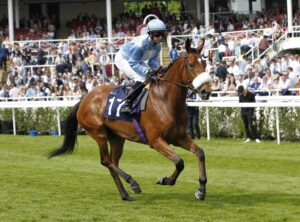 20J9681 Grand Providence