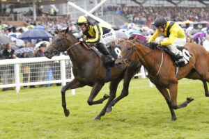 20J9681 James’s Delight