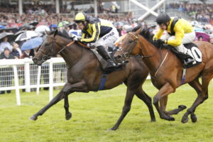 20J9682 James’s Delight