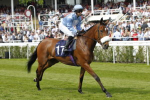 20J9683 Grand Providence