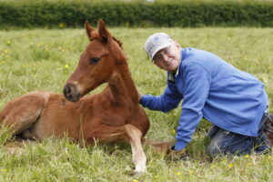 20J9804 Willie Carson