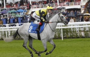 20J9805 Shadow Dance