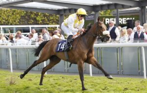 20J9823 Alphonse Le Grande